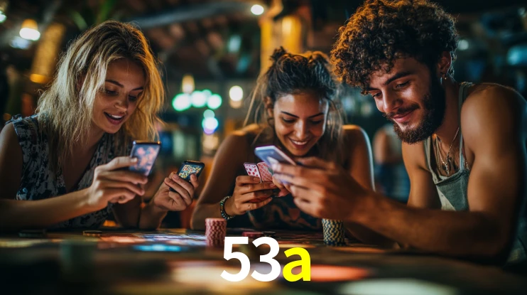 Premium Interface 53a